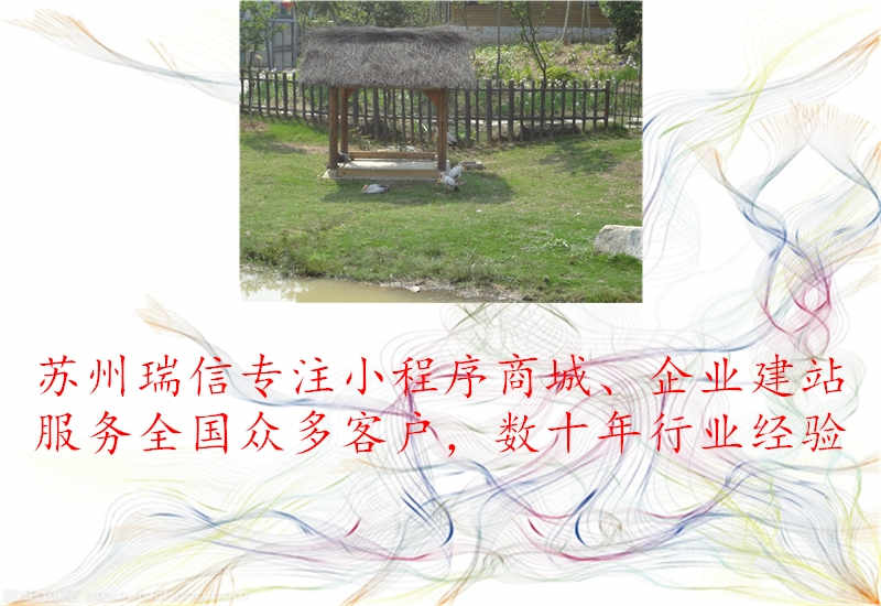 巴中网站建设模板2.jpg