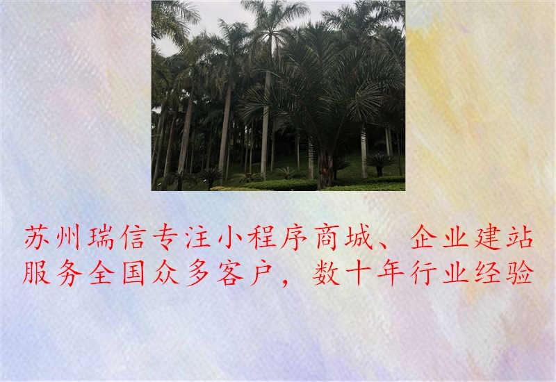 苏州网络推广怎么弄好的2.jpg