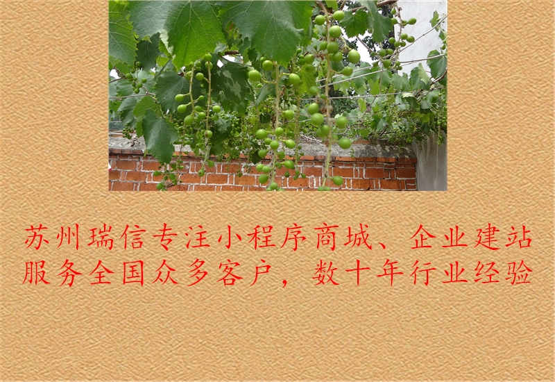 苏州网站建设推广多少钱3.jpg
