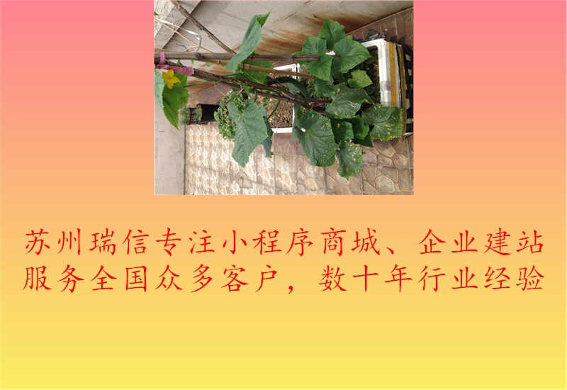 保定网站建设制作服务1.jpg