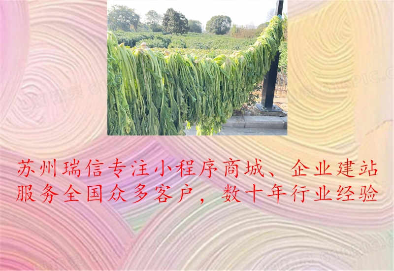 保定外贸行业网站建设1.jpg