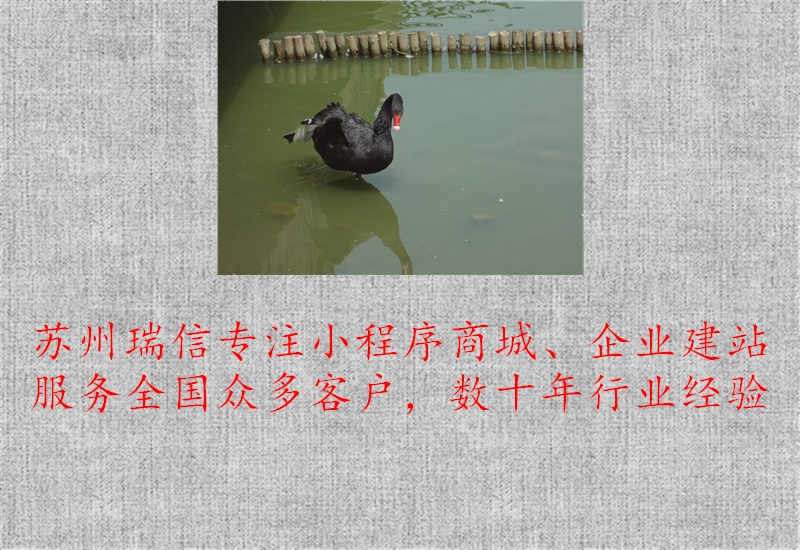 朝阳网站建设平台有哪些3.jpg