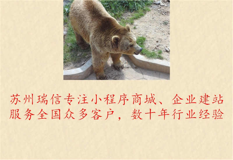 保定主页网站制作3.jpg