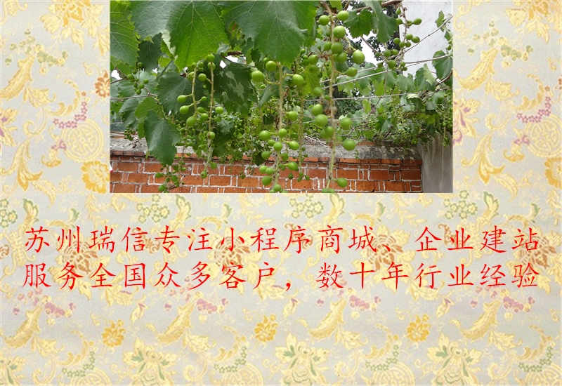 苏州网站如何推广的1.jpg
