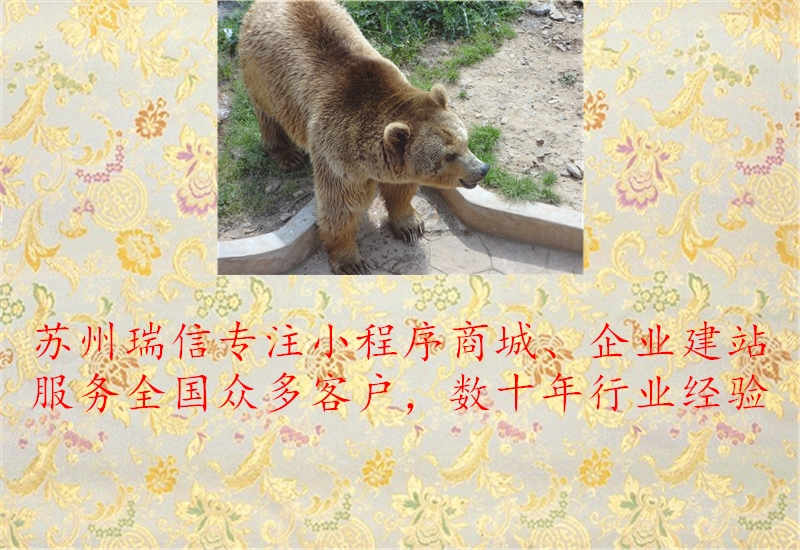 常州网站建设公司机构3.jpg