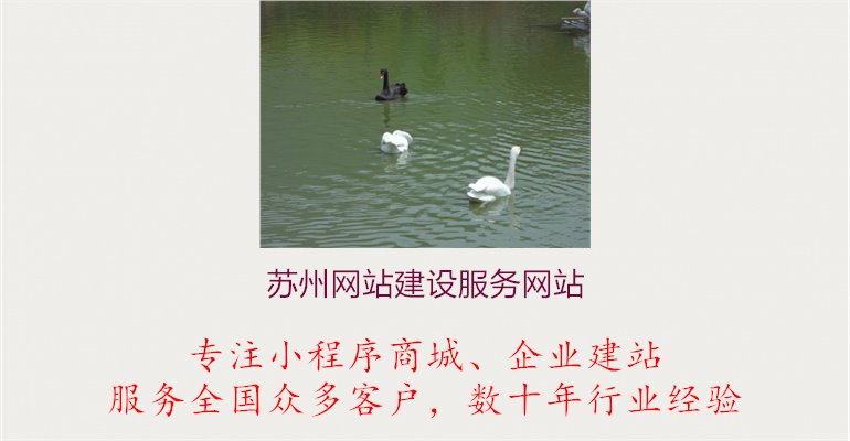 苏州网站建设服务网站1.jpg